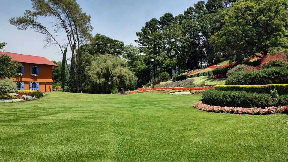 Famille heureuse courant dans un champ au coucher du soleil, parents et enfants bras levés exprimant la joie et la liberté